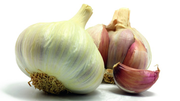 Knoblauch